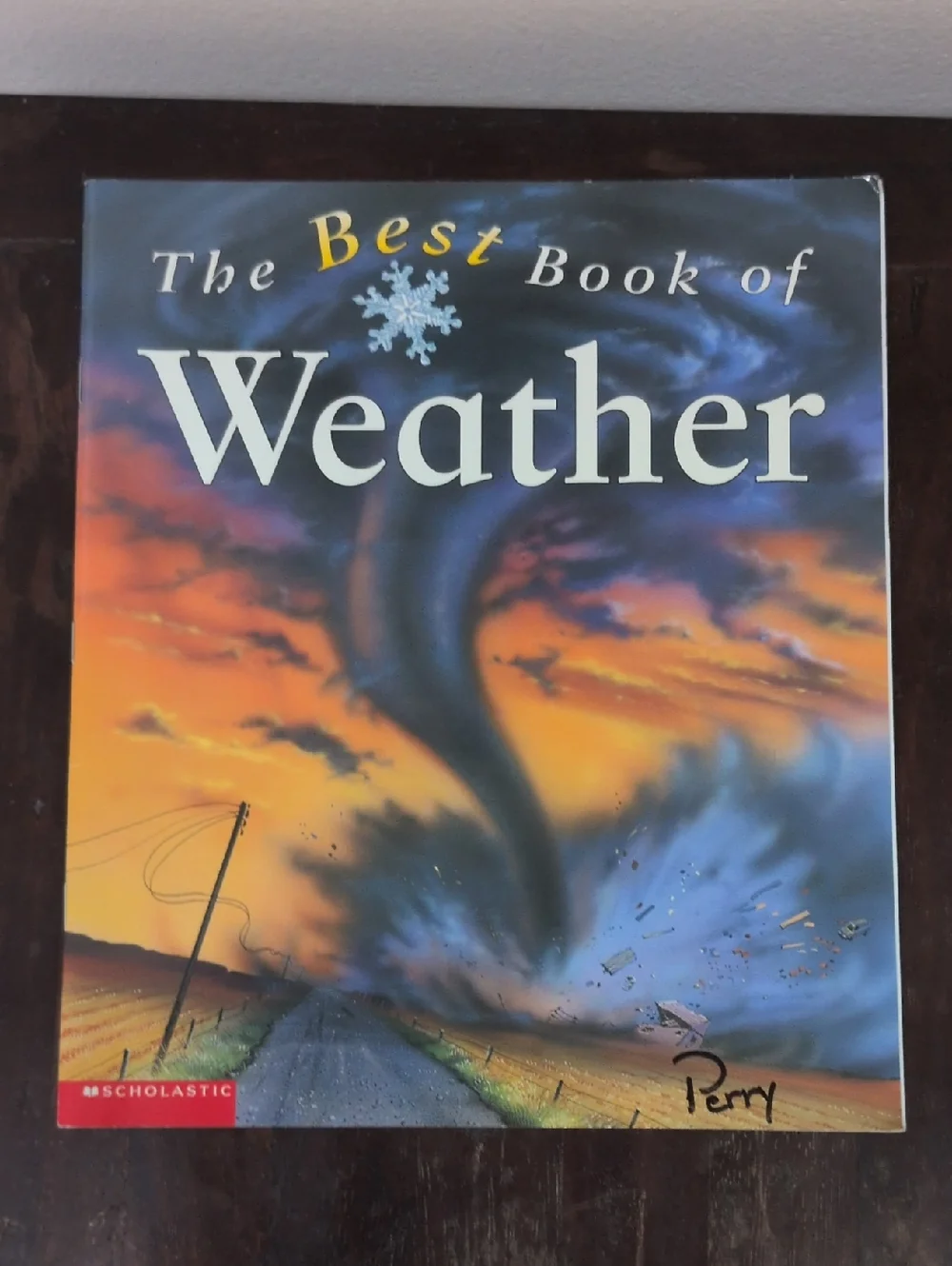 Scholastic Paperback Book Set of 12 Weather Themed Used Books